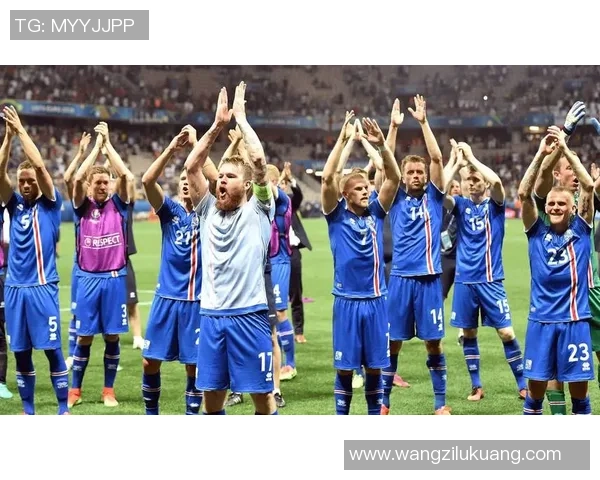 冰岛足球队现有球星介绍及其在国际赛场上的表现分析